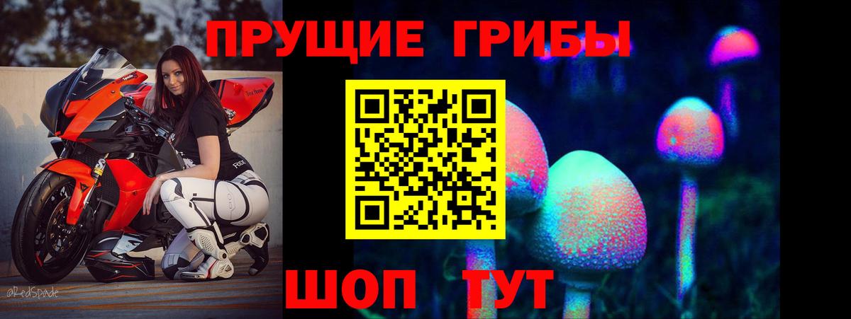 Электросталь  Псилоцибиновые грибы MAGIC MUSHROOMS  Вход с VPN  Галлюциногенные грибы прущие грибы 